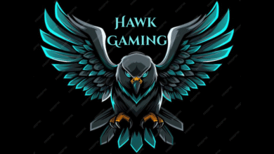 Hawk Gaming