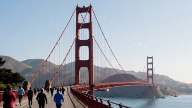 places to do within SF 2–3 hours